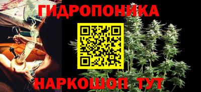 apvp Обь