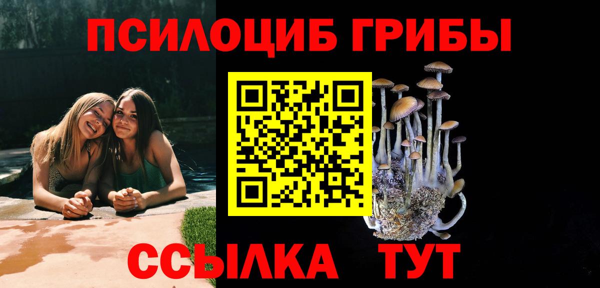 Урус-Мартан  Псилоцибиновые грибы GOLDEN TEACHER  Вход с VPN  Галлюциногенные грибы ЛСД 